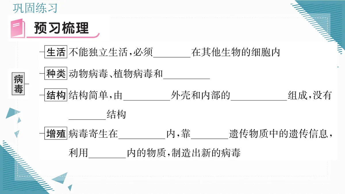 17338098第5页