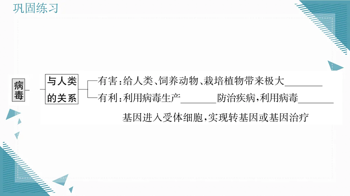 17338098第6页
