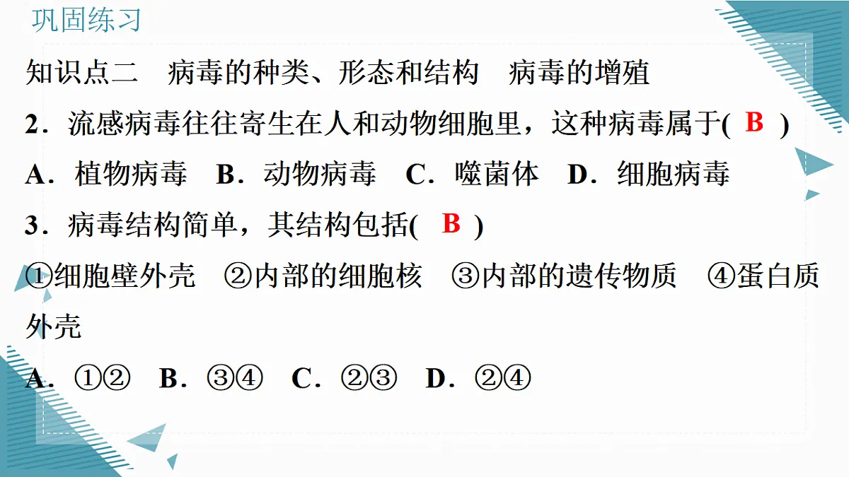 17338098第8页