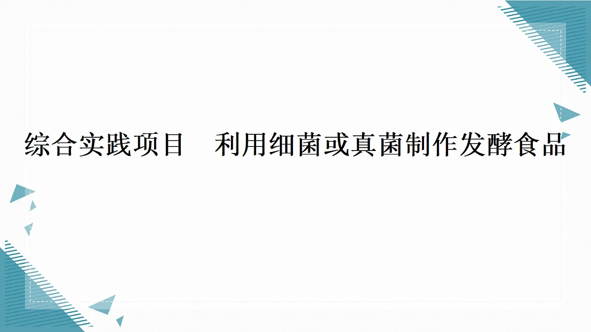17338099第1页