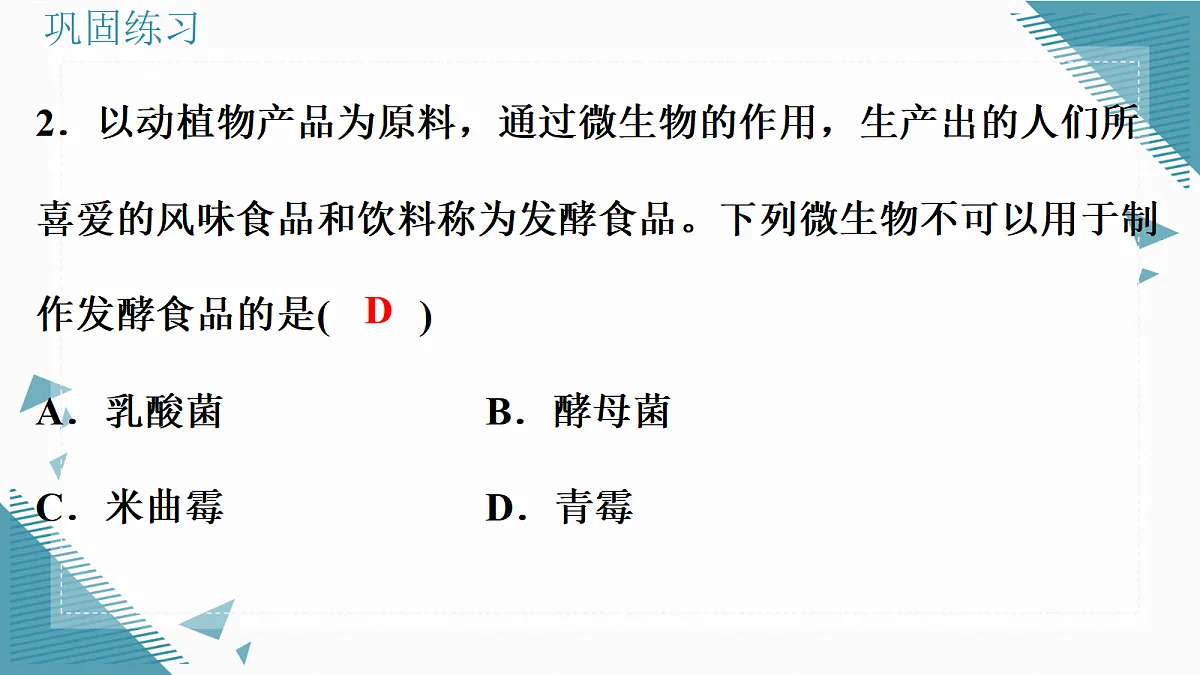 17338099第3页