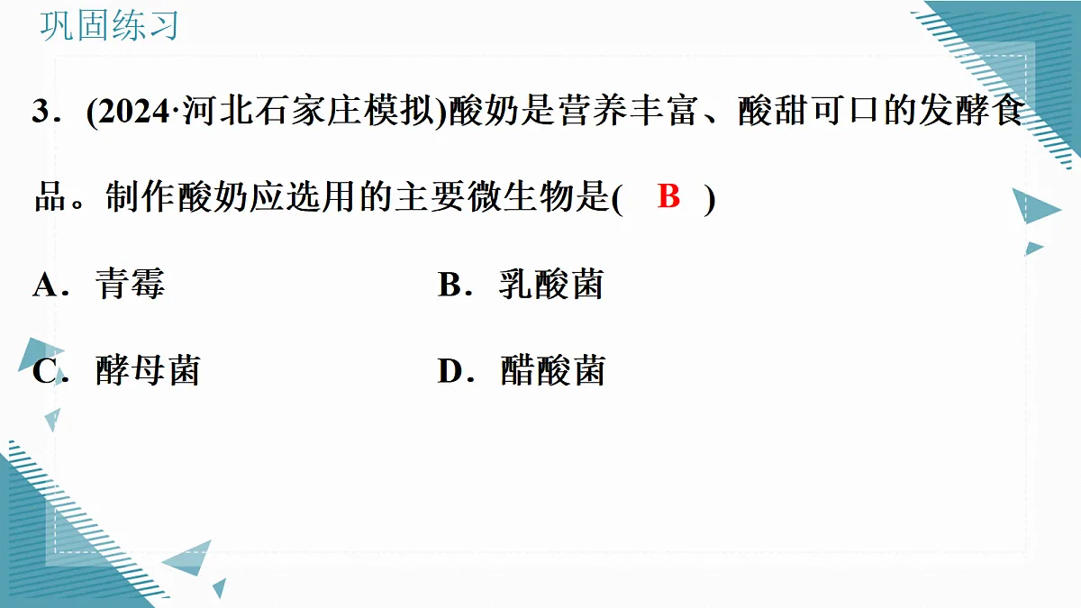 17338099第4页