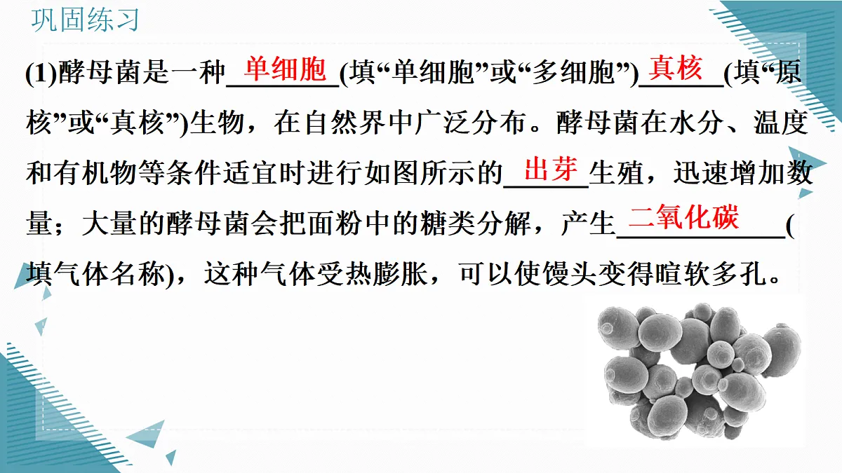 17338099第7页