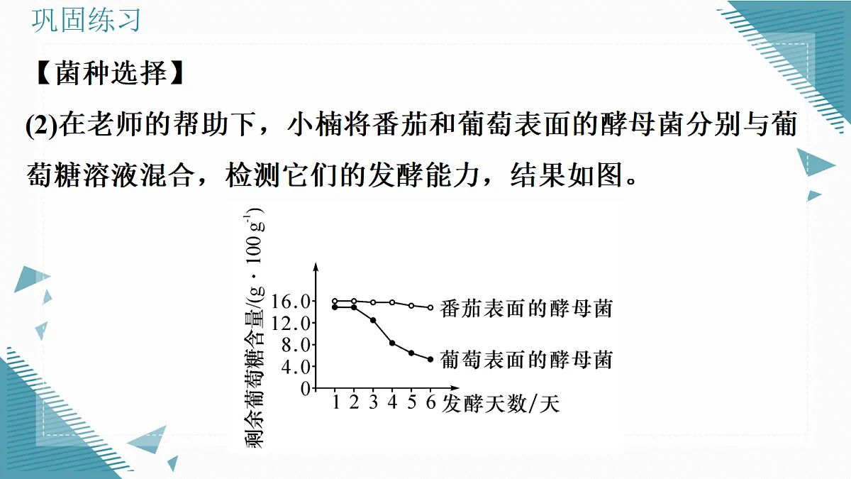 17338099第8页