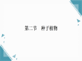 2025年人教版（2024）初中生物七年级上册第二单元第一章第2节  种子植物习题课课件（含答案）