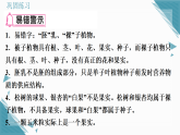2025年人教版（2024）初中生物七年级上册第二单元第一章第2节  种子植物习题课课件（含答案）