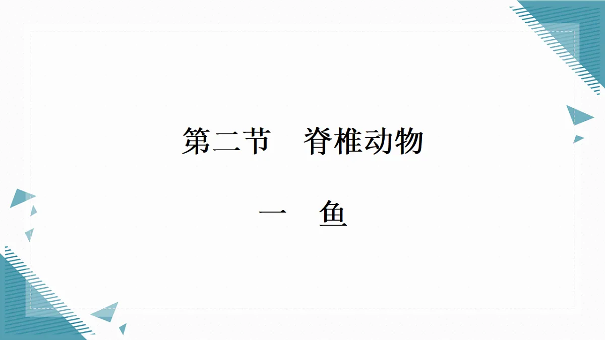 17338128第1页