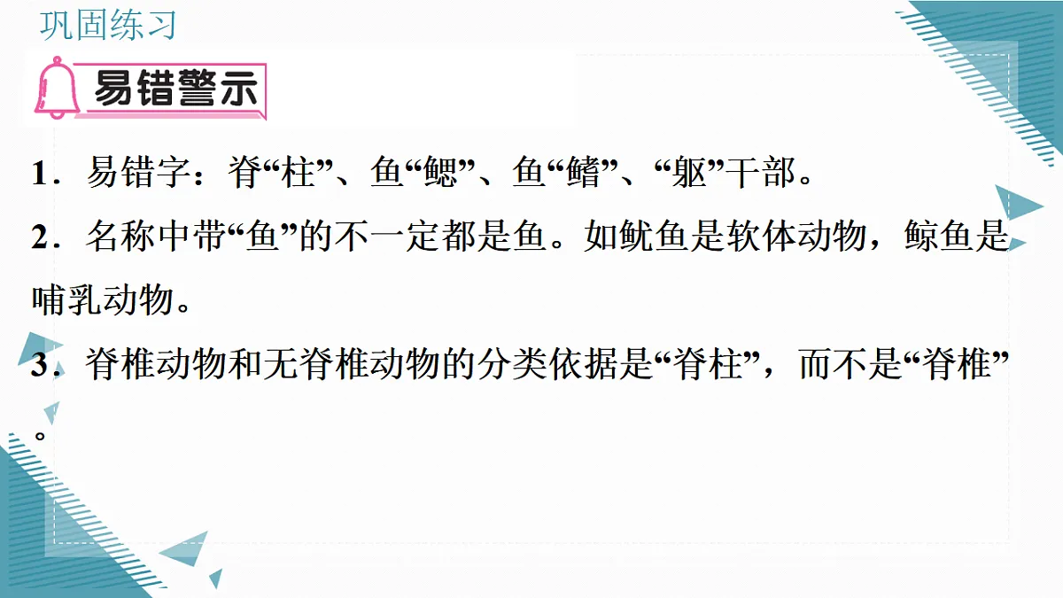 17338128第3页