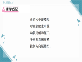 2025年人教版（2024）初中生物七年级上册第二单元第二章第二节1  鱼习题课课件（含答案）