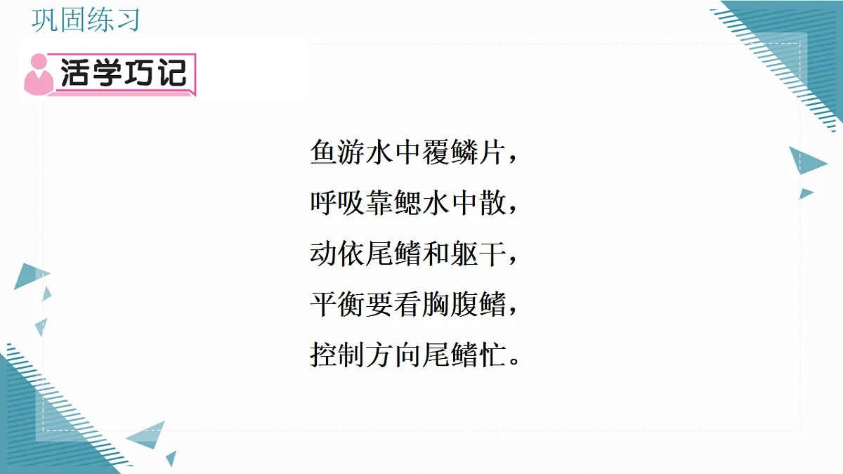 17338128第4页