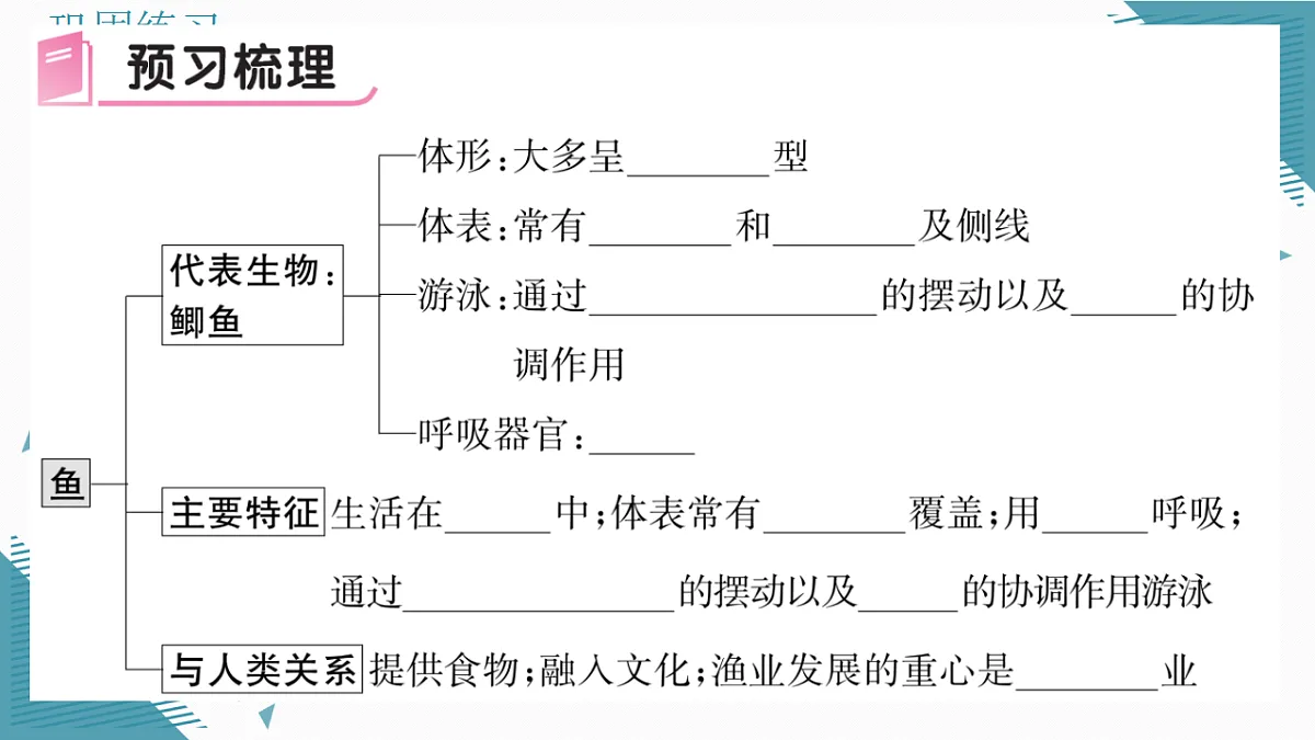 17338128第5页