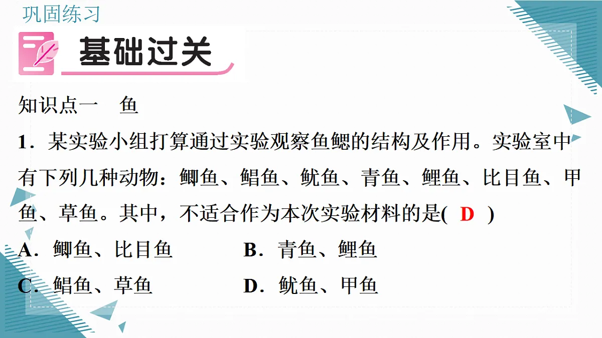 17338128第6页