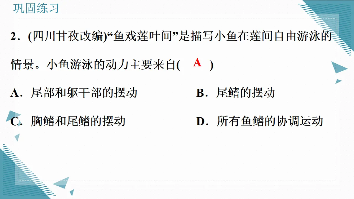 17338128第7页