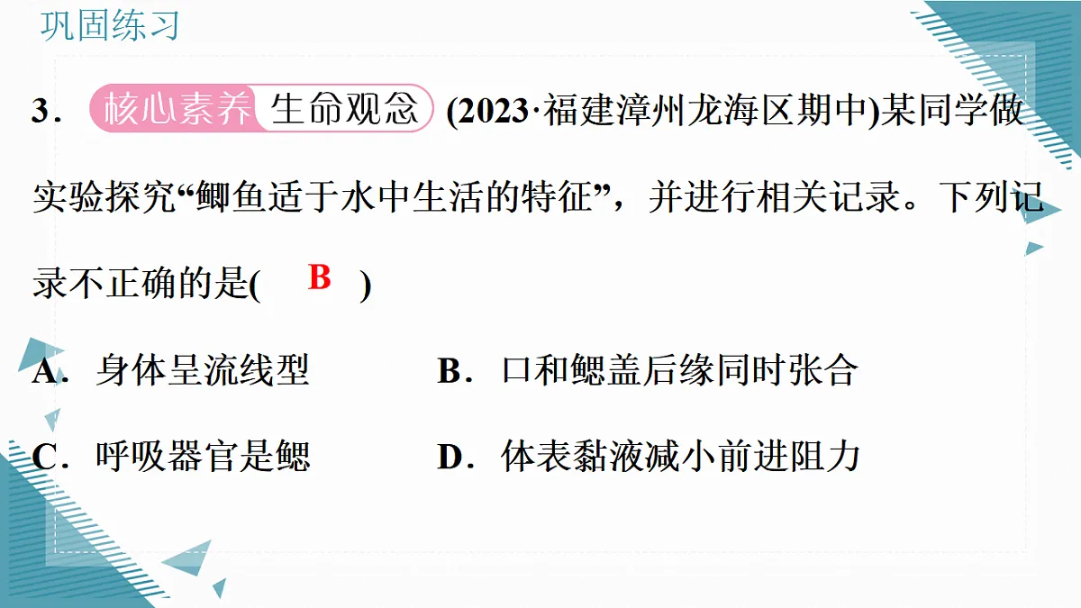 17338128第8页