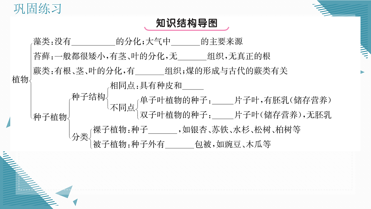 17338129第2页