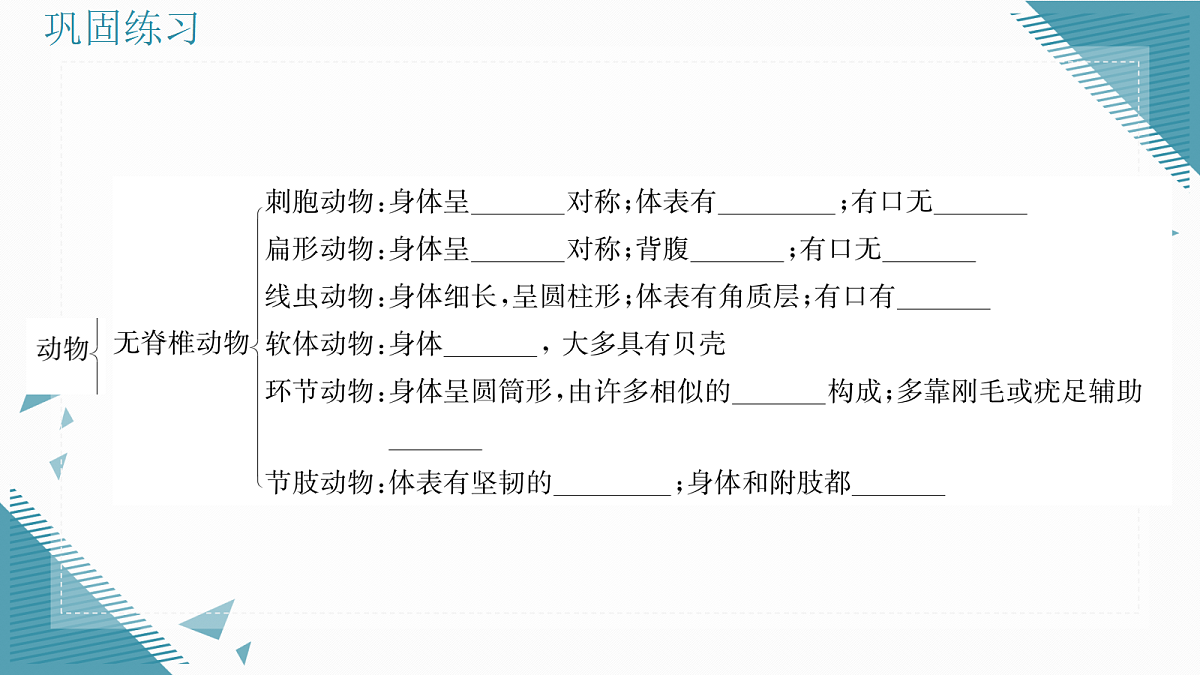 17338129第3页