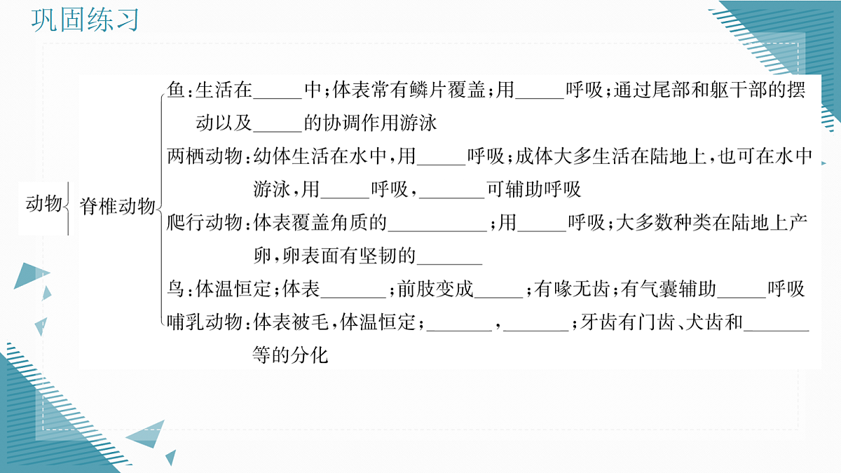 17338129第4页