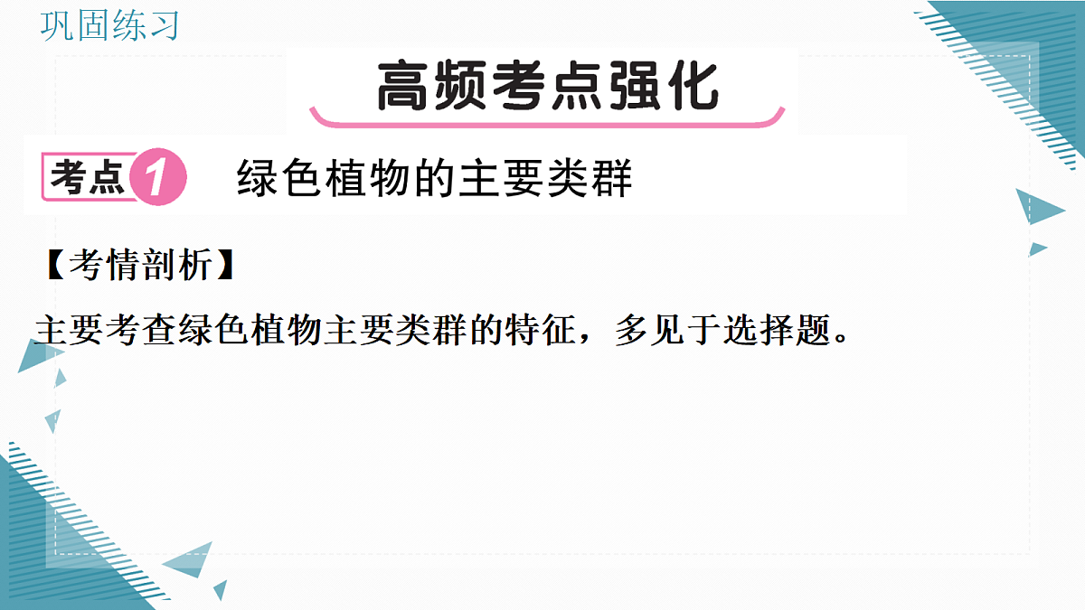 17338129第5页