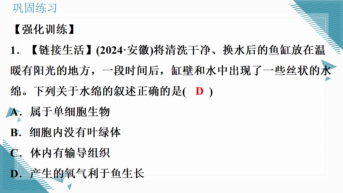 17338129第6页