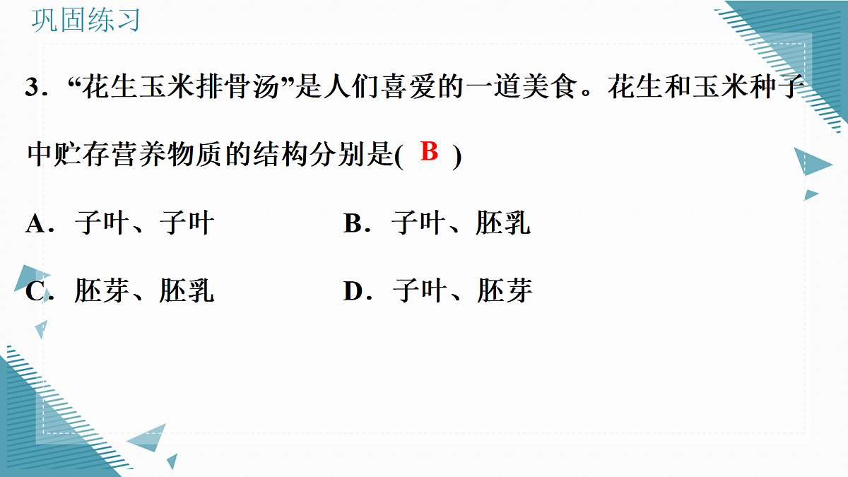 17338129第8页
