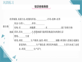 2025年人教版（2024）初中生物七年级上册第二单元第三、四章总结提升习题课课件（含答案）