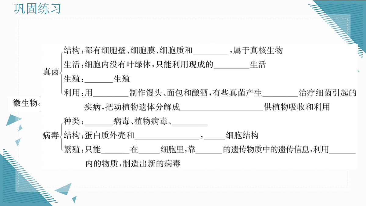 17338130第3页