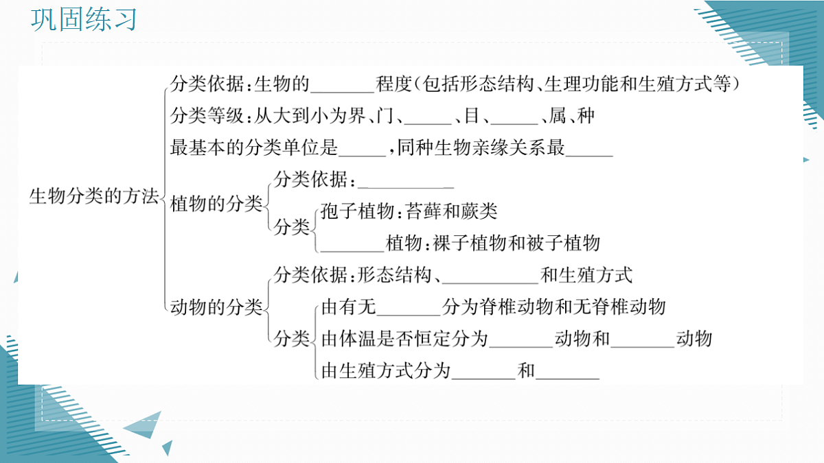 17338130第4页