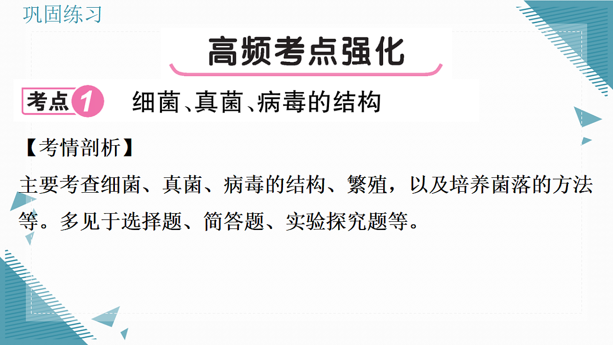 17338130第5页