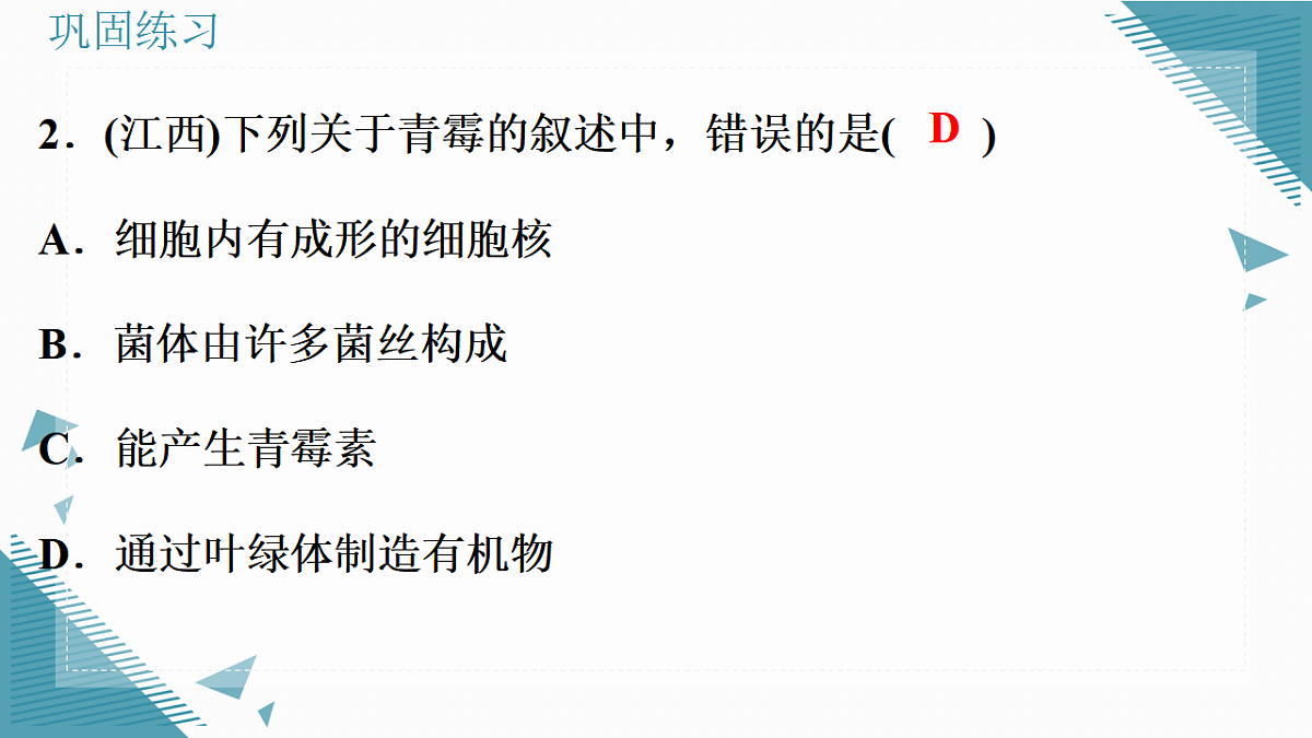 17338130第7页
