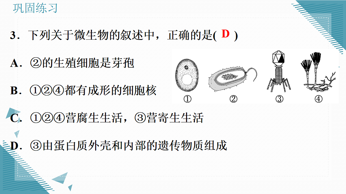 17338130第8页