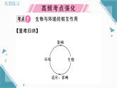 2025年人教版（2024）初中生物八年级上册第五单元第1章 复习课 习题课课件（含答案）