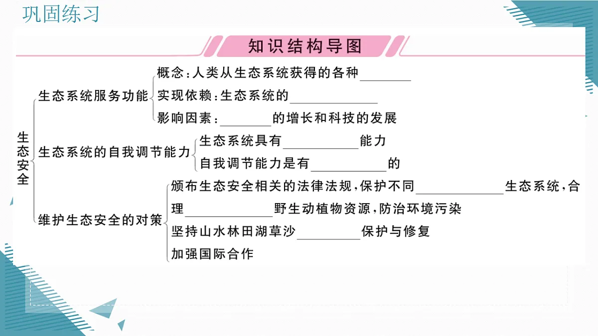 17338675第2页