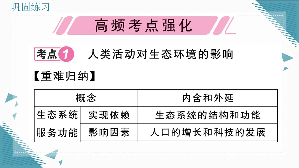 17338675第3页