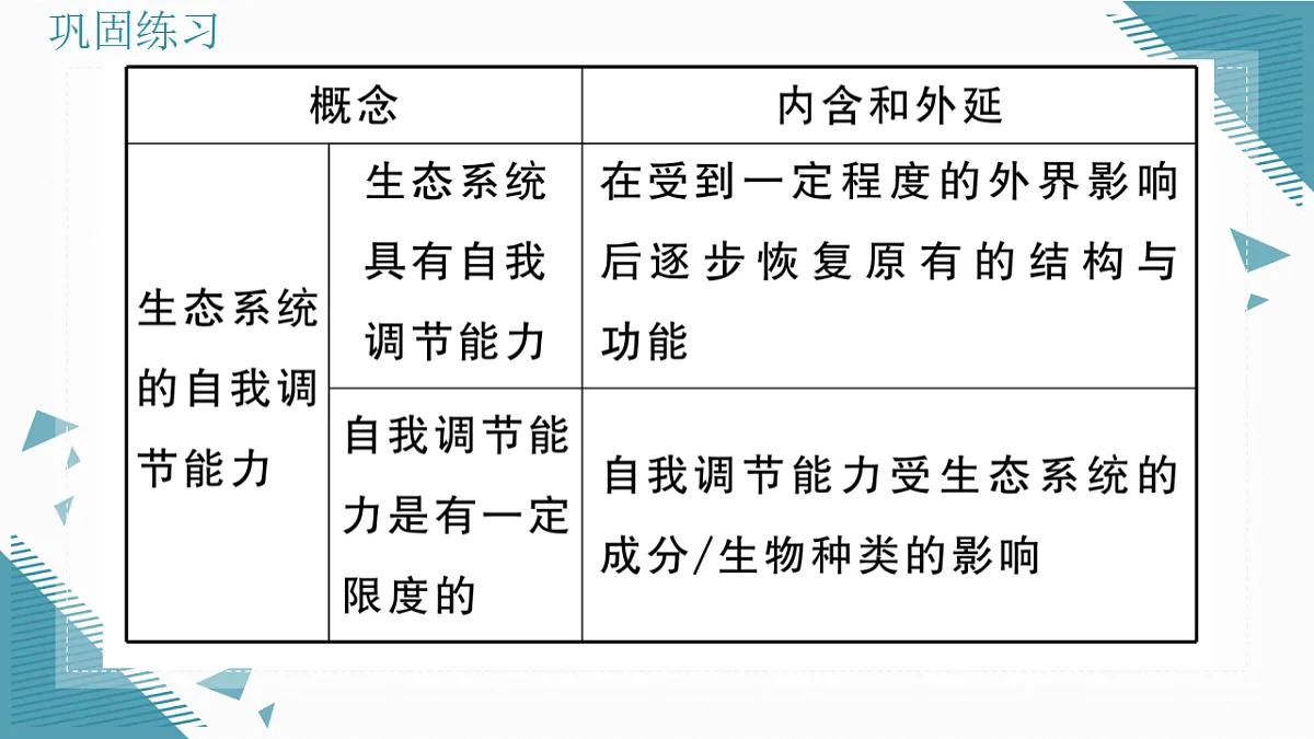 17338675第4页