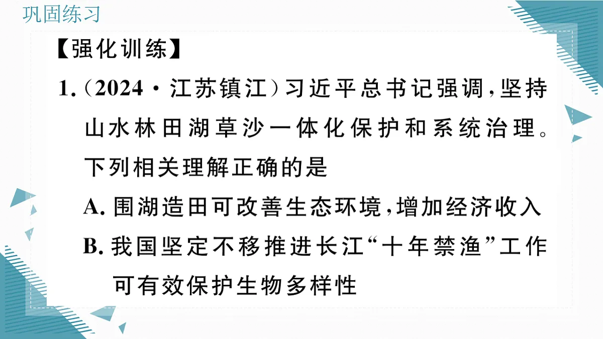 17338675第5页