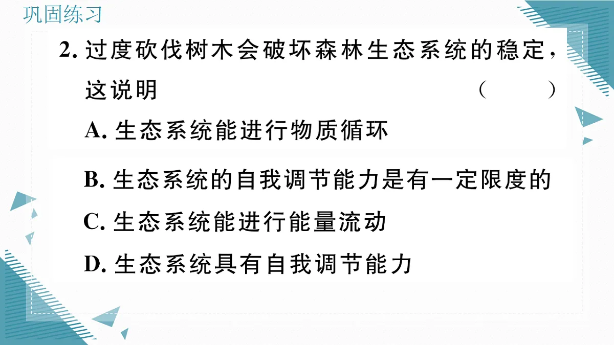 17338675第7页