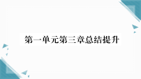 人教版（2024）七年级上册（2024）从细胞到生物体复习ppt课件