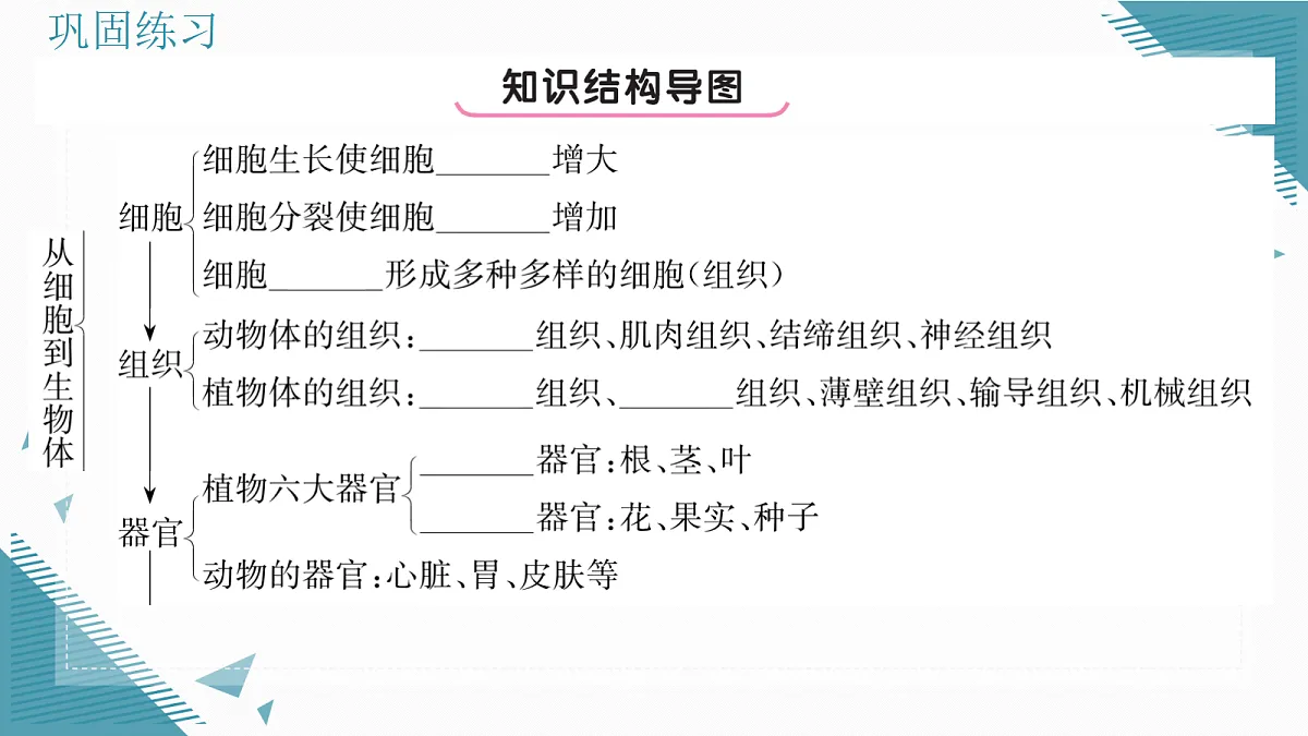 17338676第2页