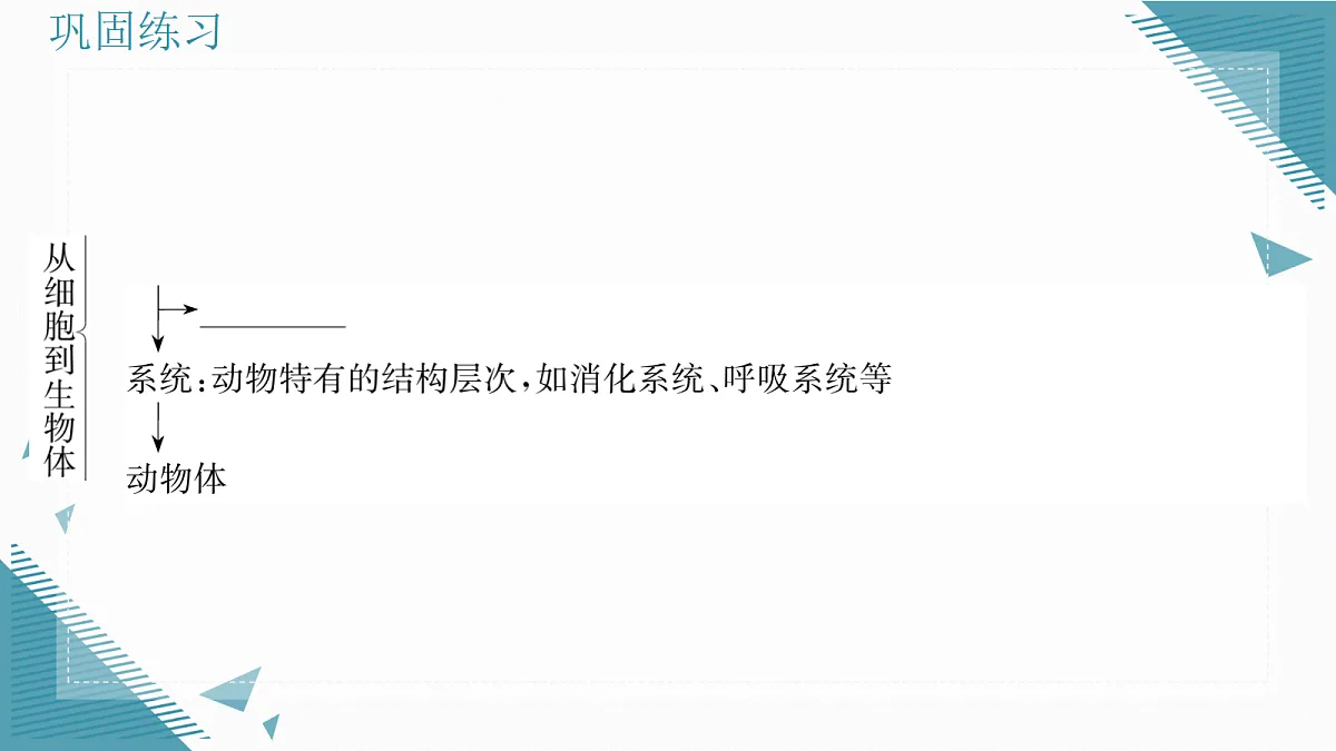17338676第3页