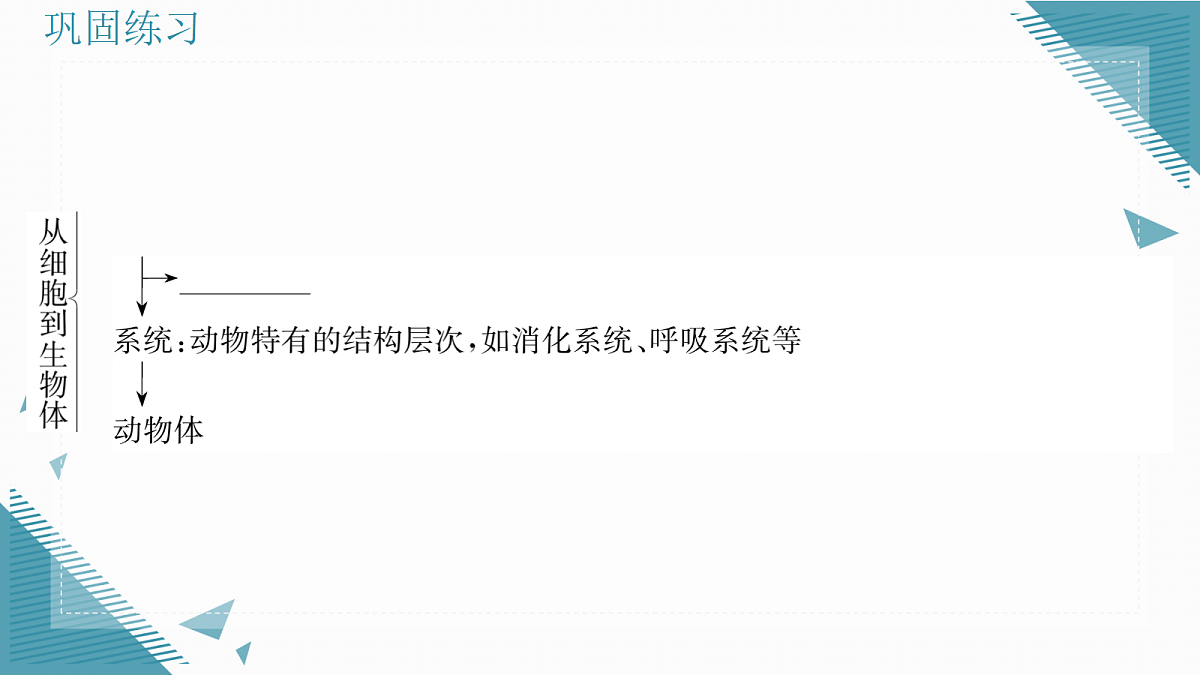 17338676第3页