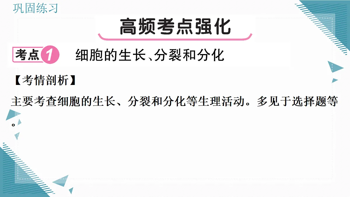 17338676第4页