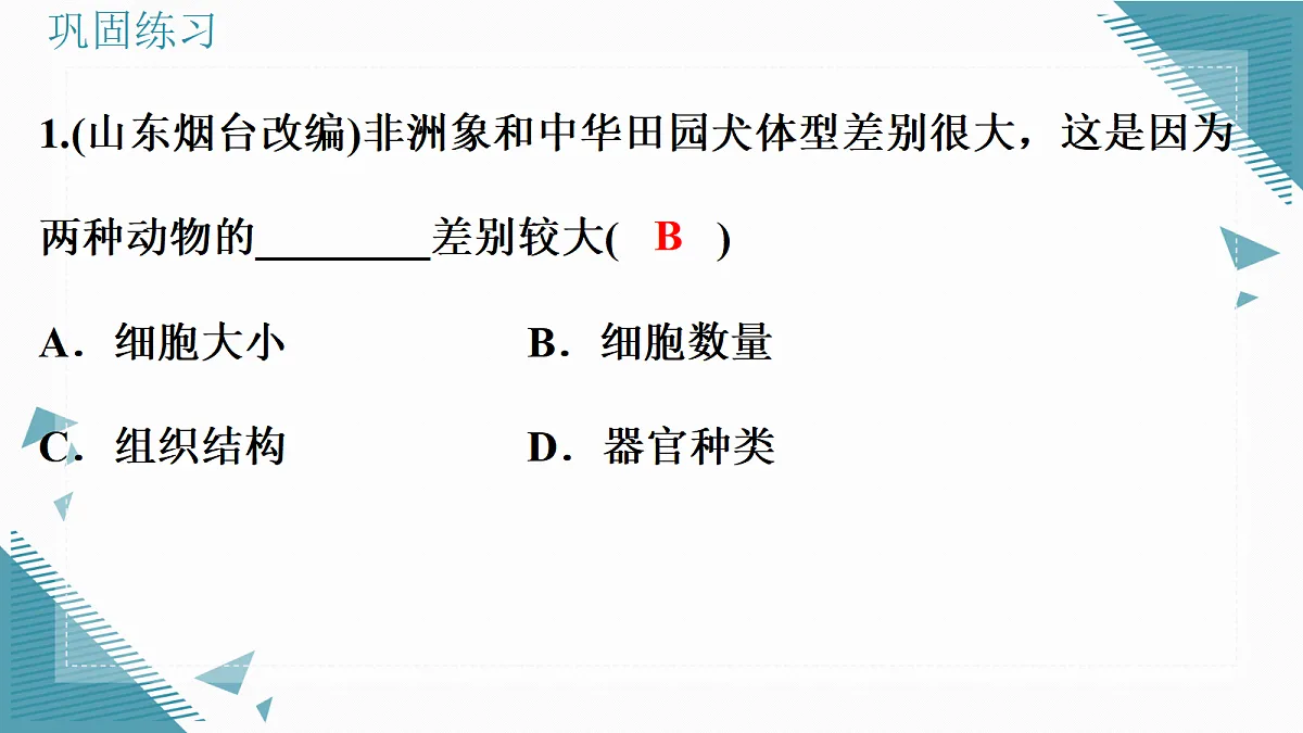 17338676第5页