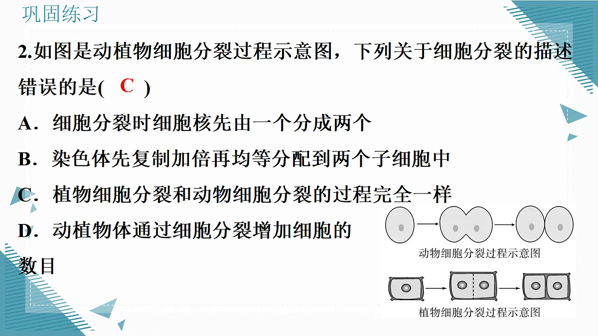 17338676第6页