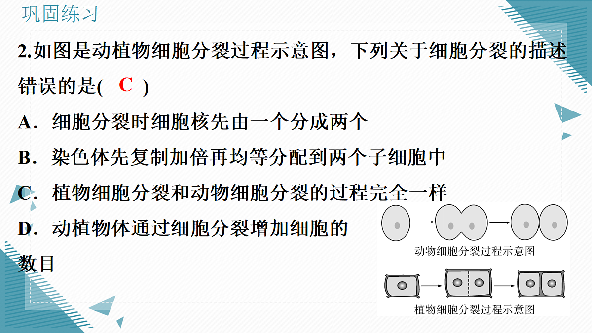 17338676第6页