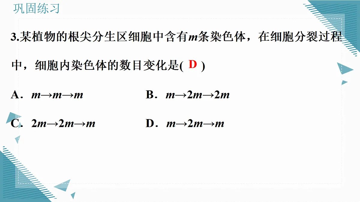 17338676第7页