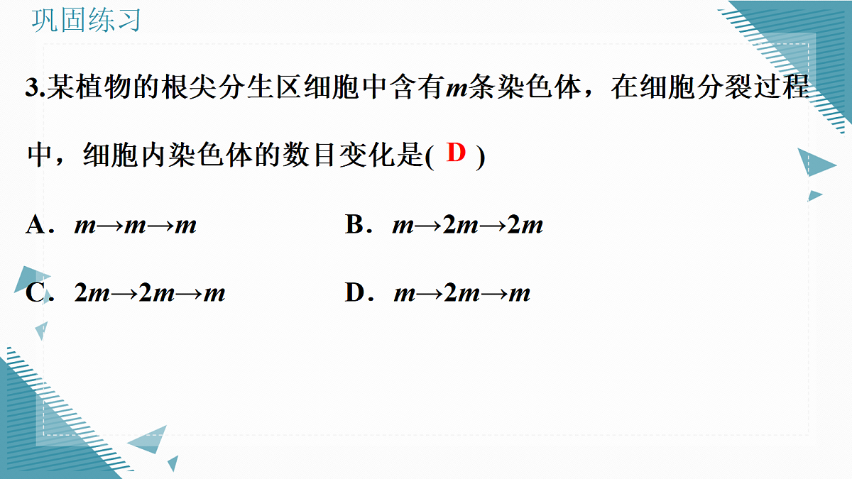 17338676第7页
