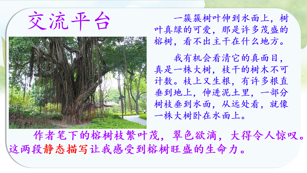 17338699第3页