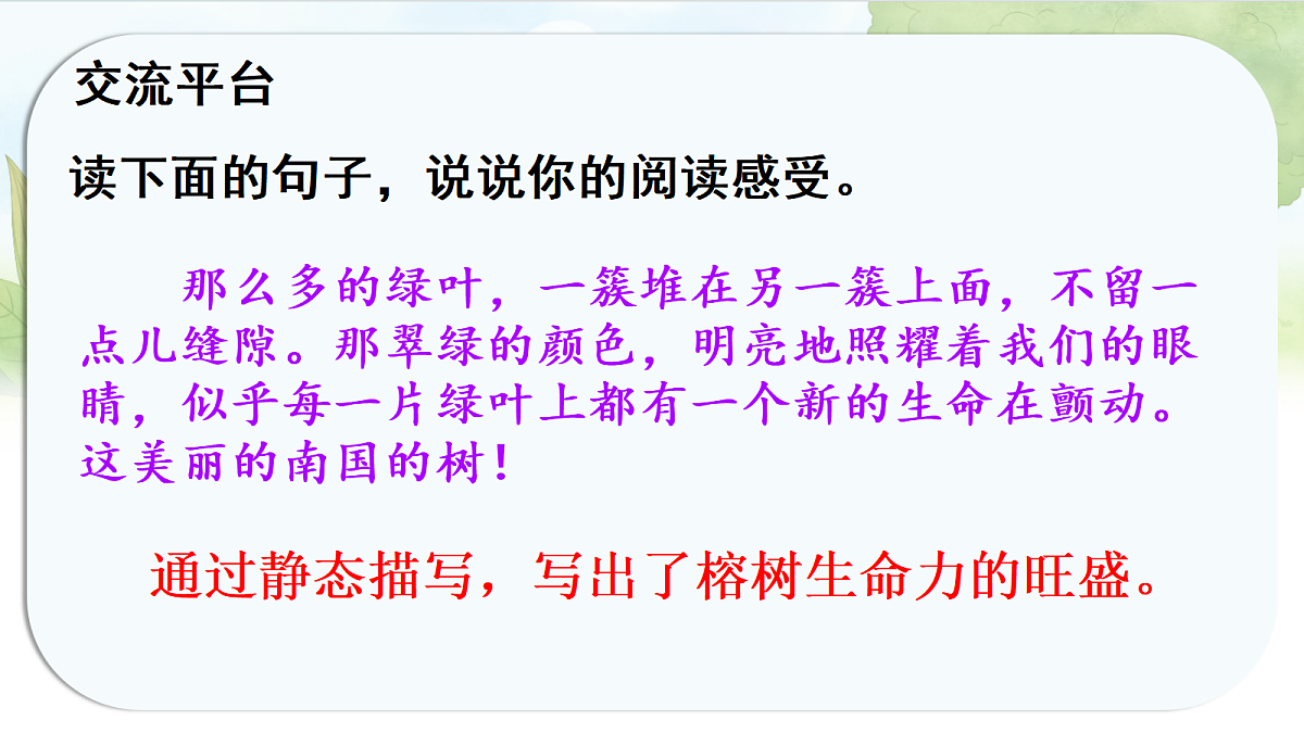 17338699第5页
