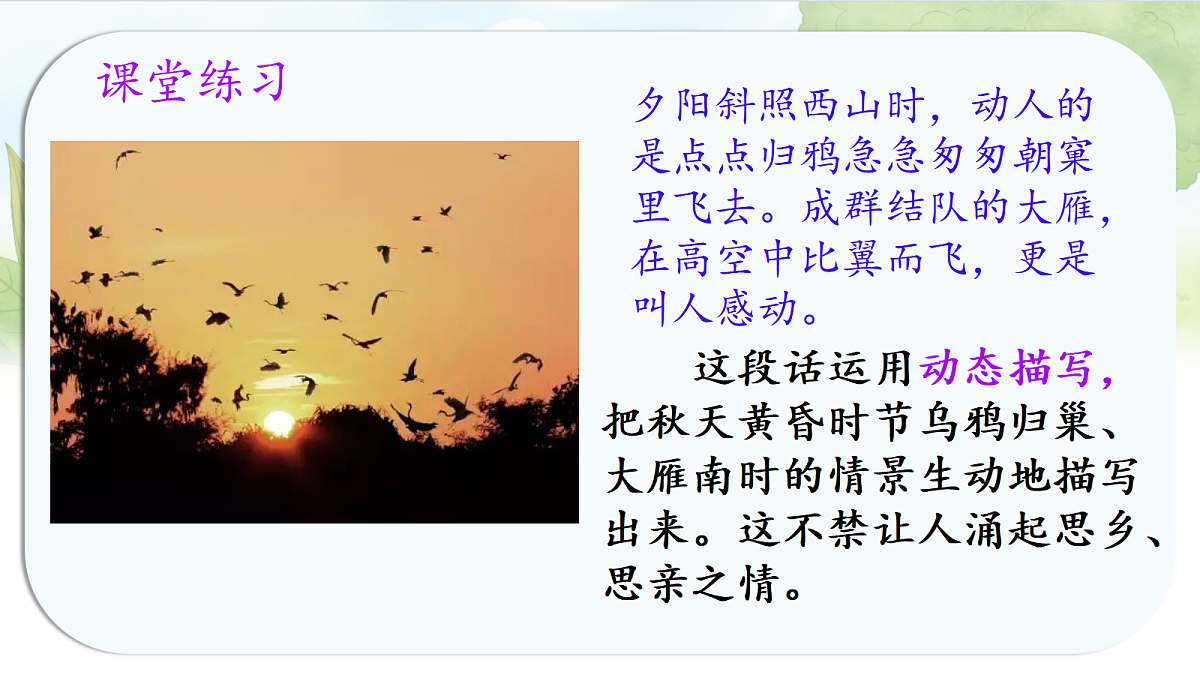 17338699第8页