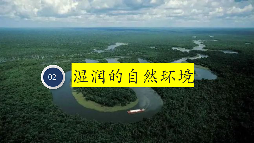 【新课标】第七章认识国家 8.6 巴西  精品课件第5页
